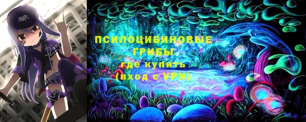 PSILOCYBIN Аркадак
